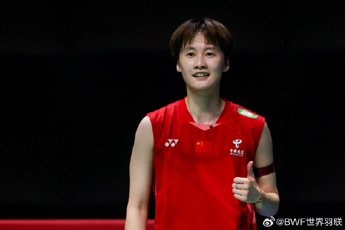 已经安装了 已经安装了