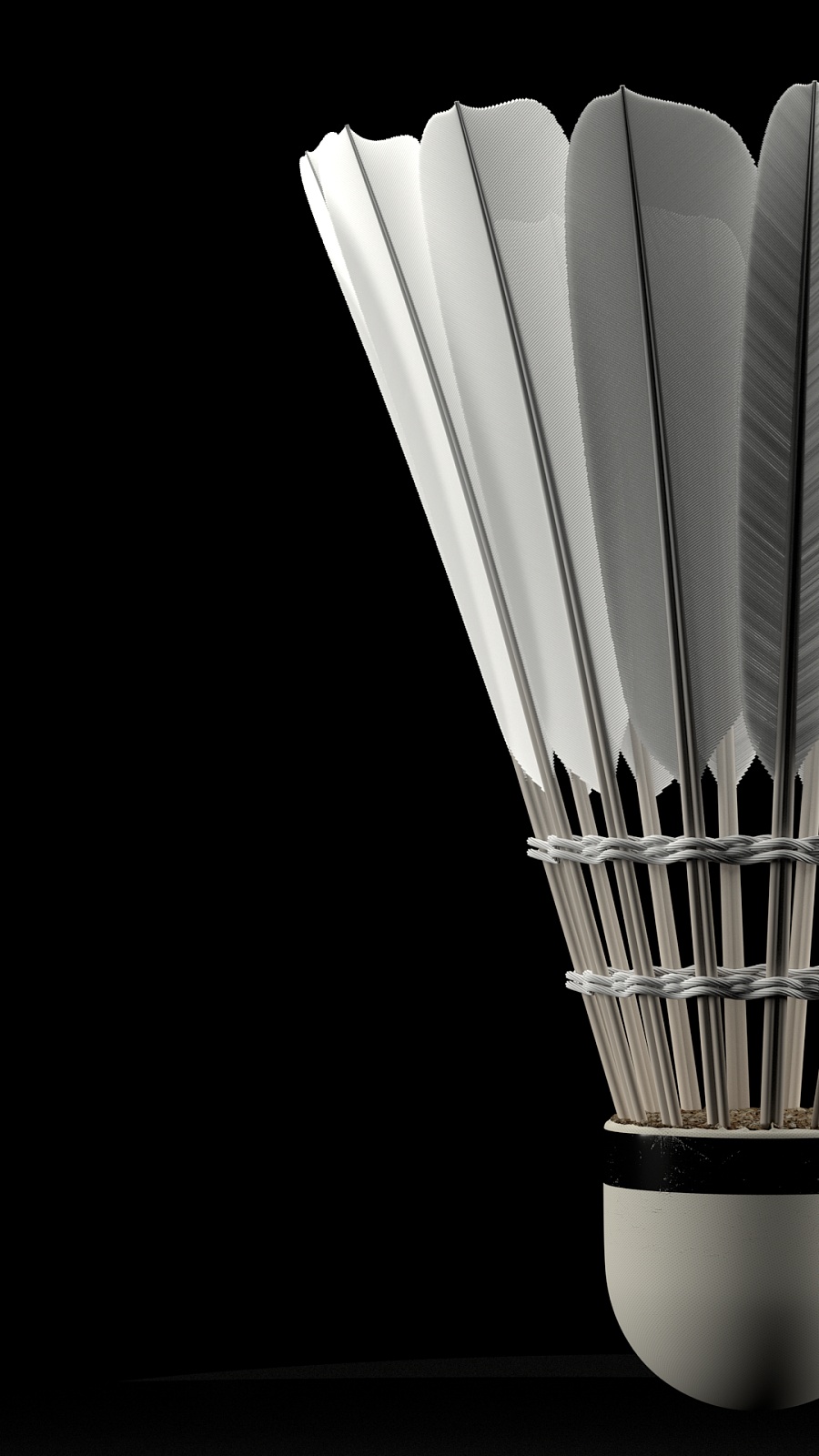 他们都能展 他们都能展