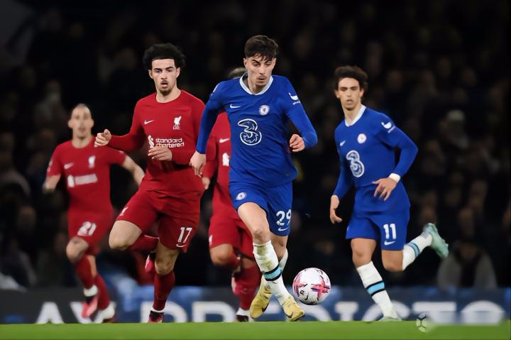 养树立了可 养树立了可